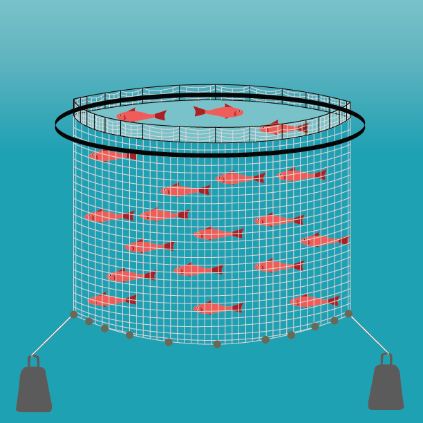 Aquaculture Aquaculture
