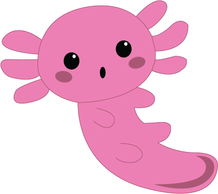 axo axolotl