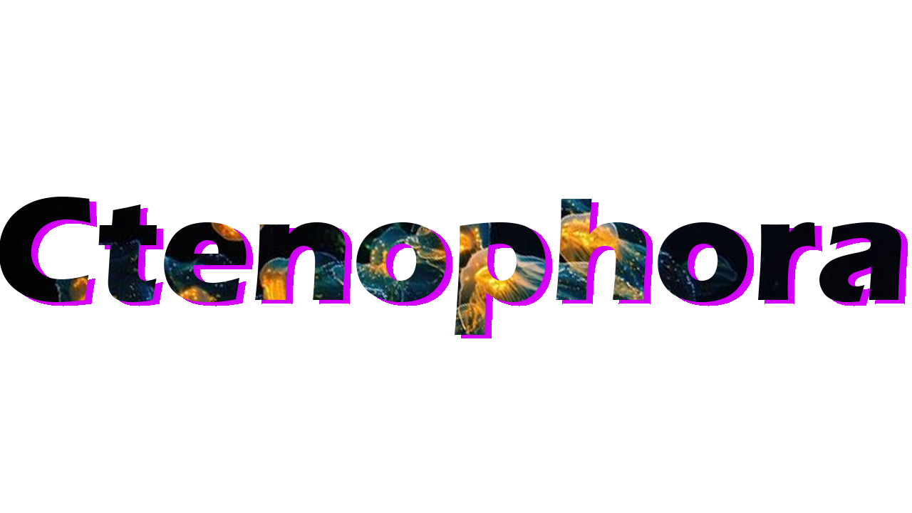 Ctenophora