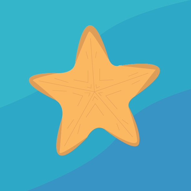Sea Star