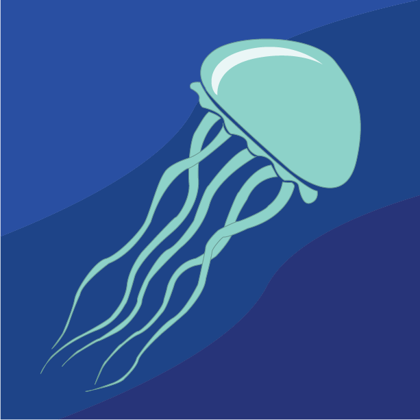 Jellyfish