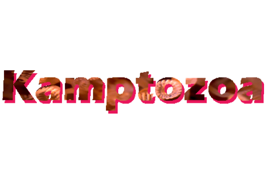 Kamptozoa