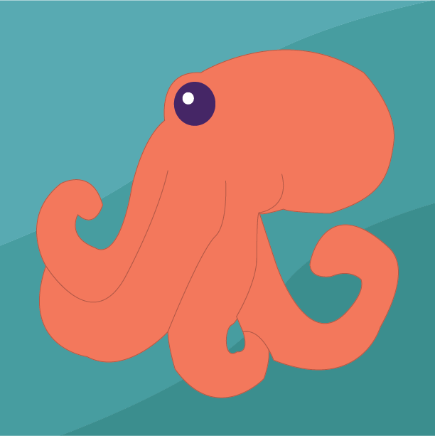Octopus